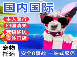 安阳红旗渠空运国际宠物托运 【国